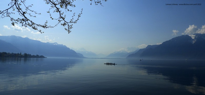 Le L&eacute;man (Bleu en efffet) , vu de Vevey