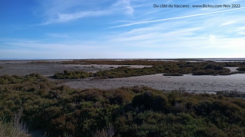 Du c&ocirc;t&eacute; du Vaccar&egrave;s