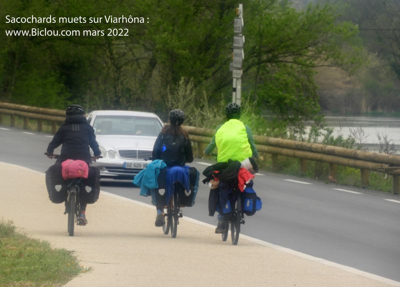 Sacochards muets sur ViaRh&ocirc;na (2022)