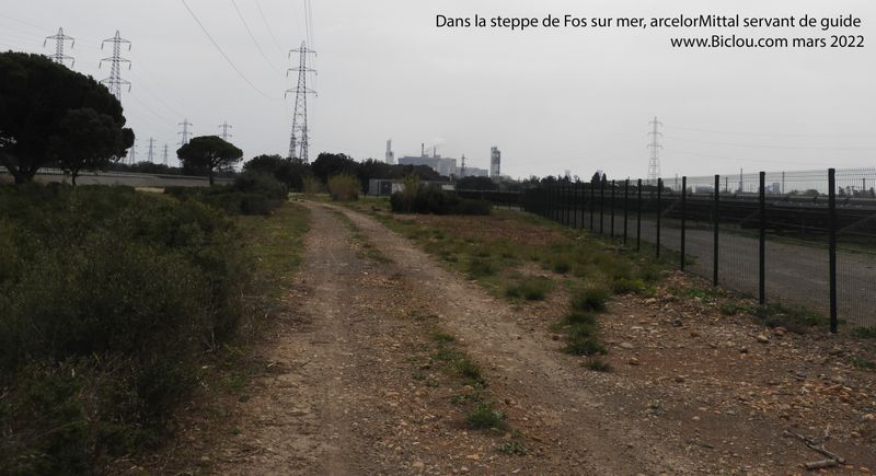 Dans la steppe de Fos sur mer, Arcelor-Mittal sert d'&eacute;toile du berger &eacute;gar&eacute; .. &agrave; la vue et l'odeur ..