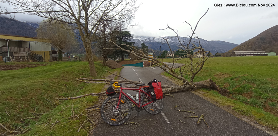 La tempête Cattaneo a frappé ; à Giez (Haute Savoie) , élagage naturel d'Arbres