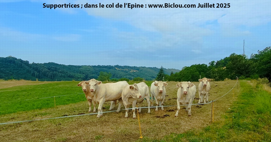 Les Supportrices dans le col de l'Epine
