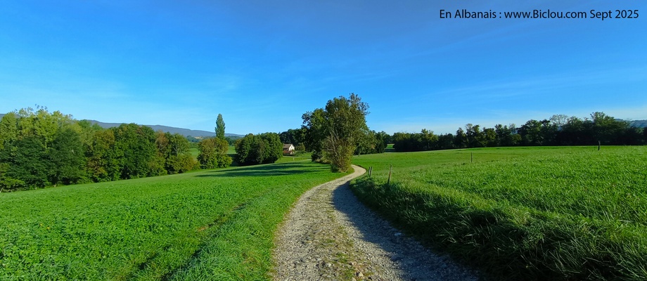 Endorphines en Albanais