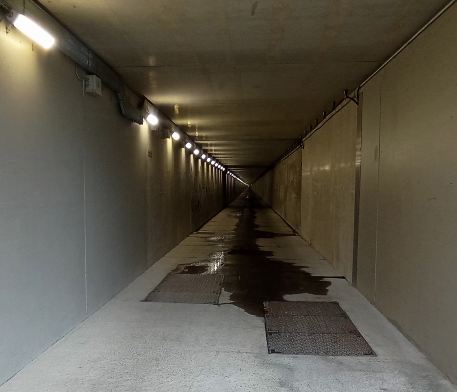 Dans le tunnel du chat (Savoie)