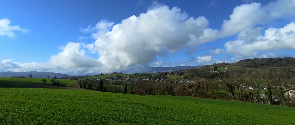 Paysage En Albanais