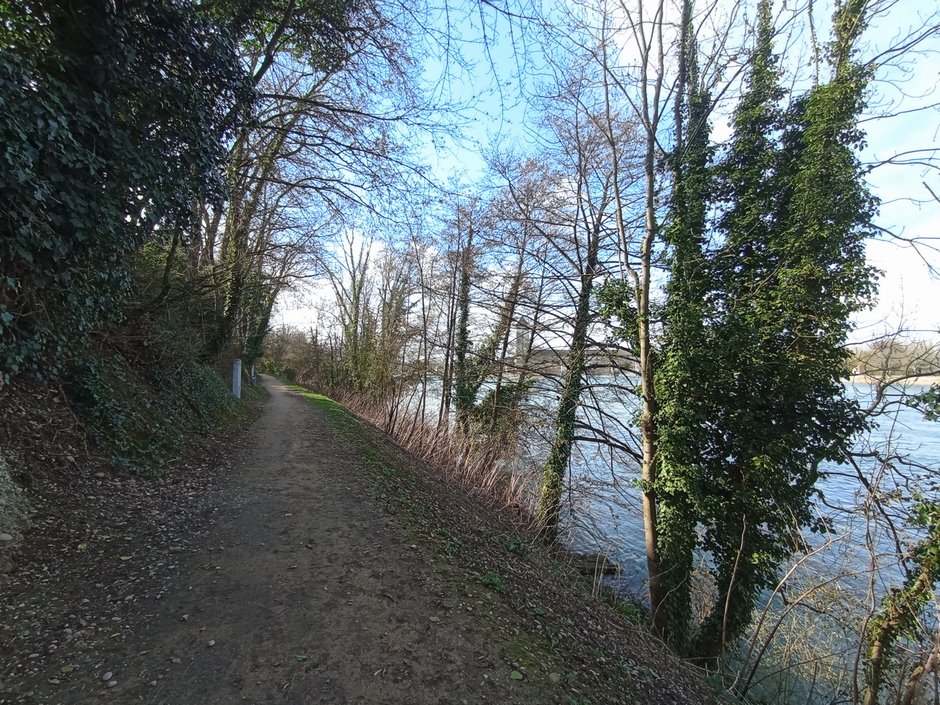 Sur les Bords du canal de Jonage