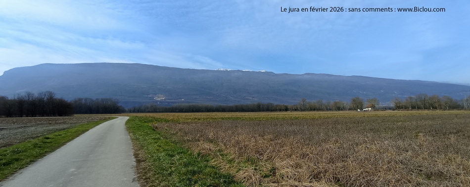 Le Jura en Février 2026 : Mais où sont les neiges d'Antan ?