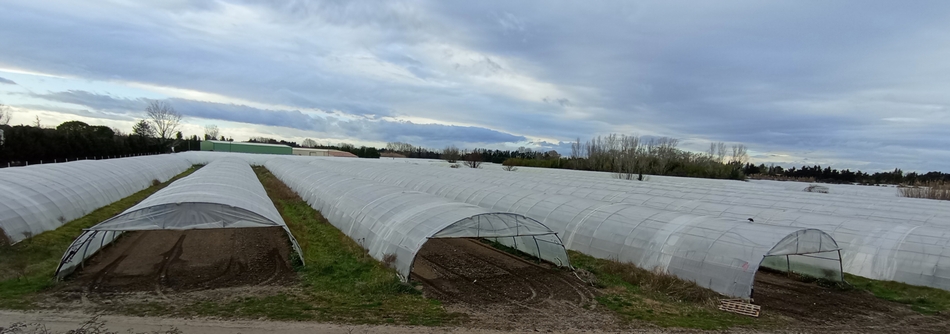Serres en Vaucluse