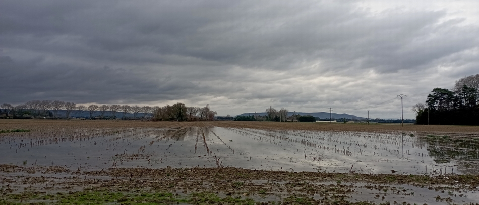 Les champs sont un peu mouillés (Drôme) , mais pas de catastrophe