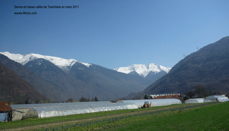 serres-albertville-beaufortintitle=serres-albertville-beaufortin