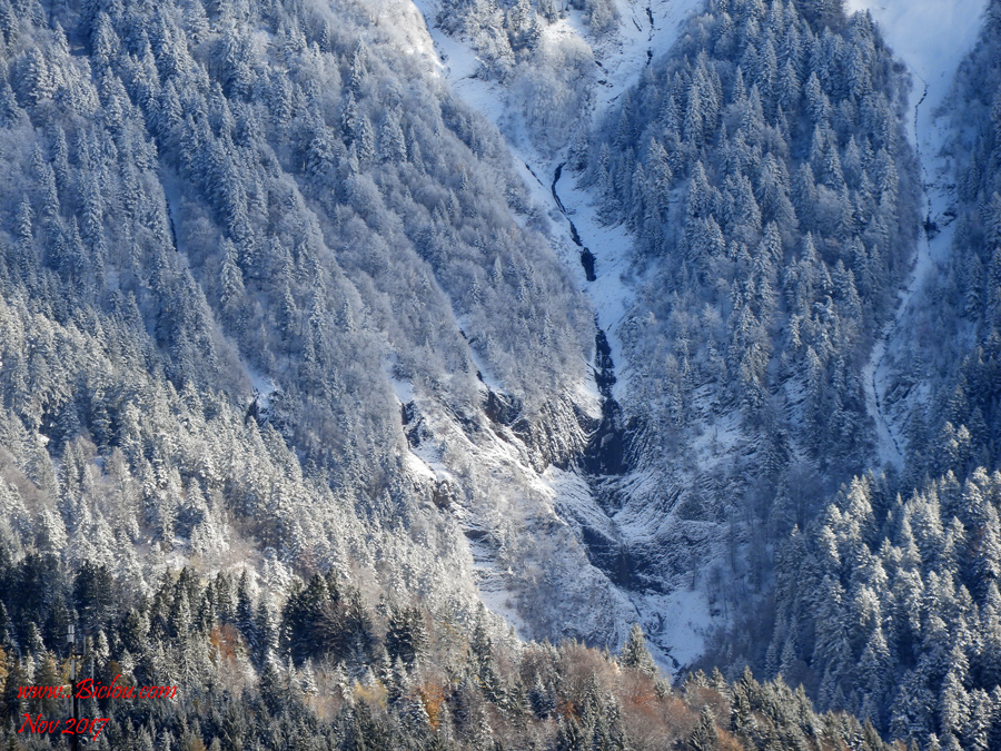 Détail-Torrent-de-Dent-de-Cons-enneigétitle=Détail-Torrent-de-Dent-de-Cons-enneigé