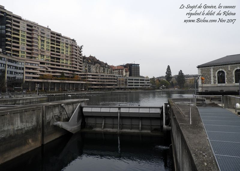 Vannes-du-Seujet-Genève-2017-Novembre
