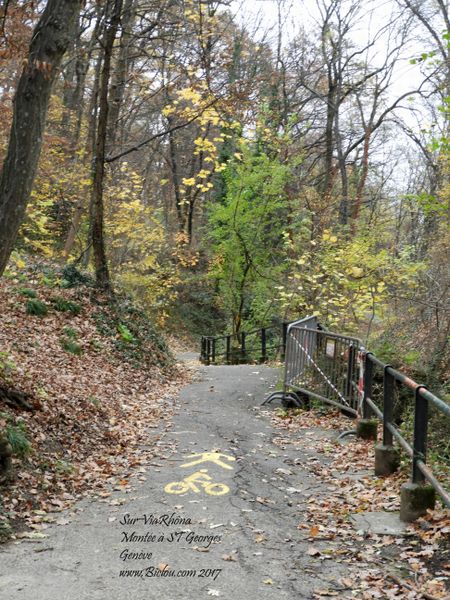 Genève-montée-a-saint-Gorges