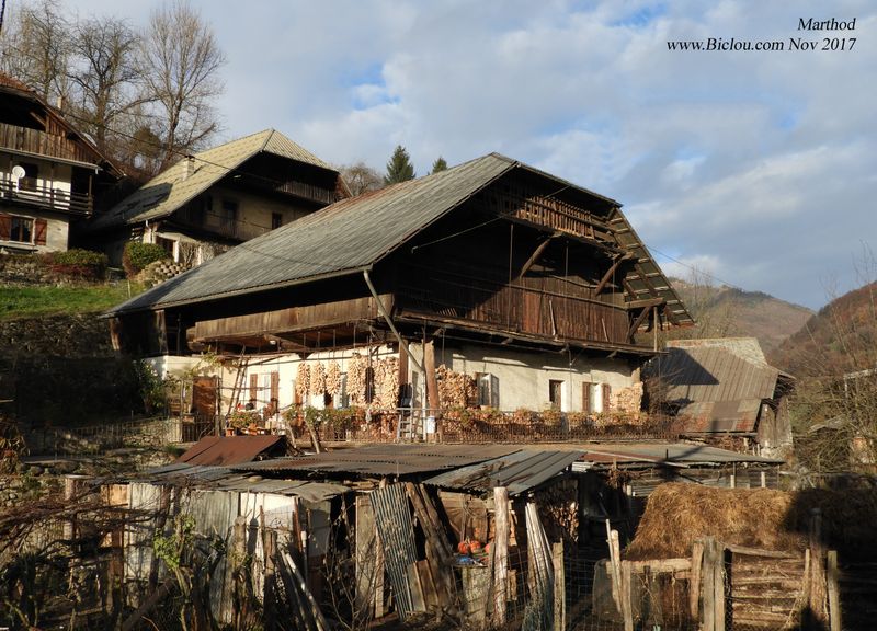 ferme-marthod-bas