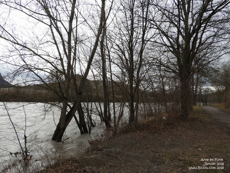janvier-2018-arve-rase-le-chemin-annemasse