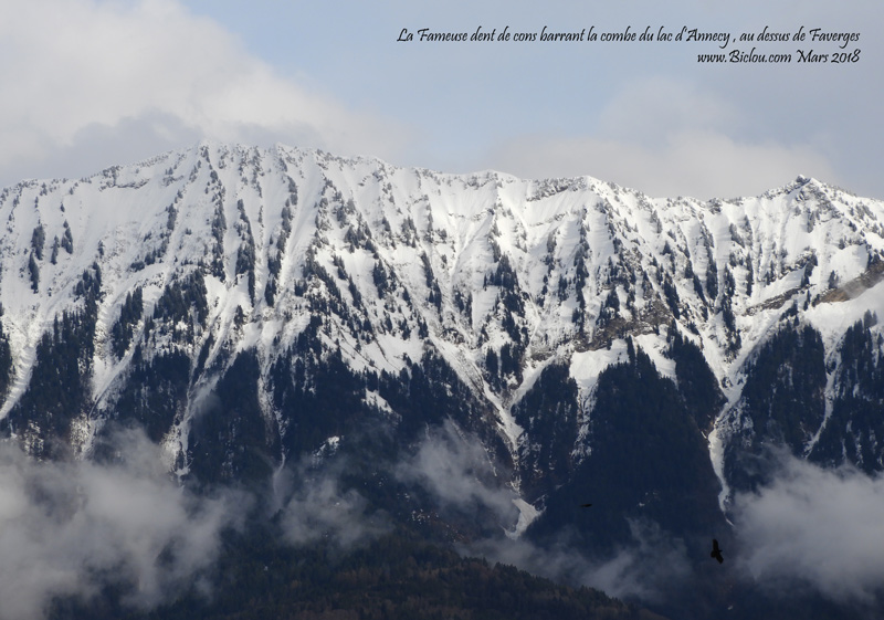 Den-t-de-cons-neige-de-Mars-2018title=Den-t-de-cons-neige-de-Mars-2018
