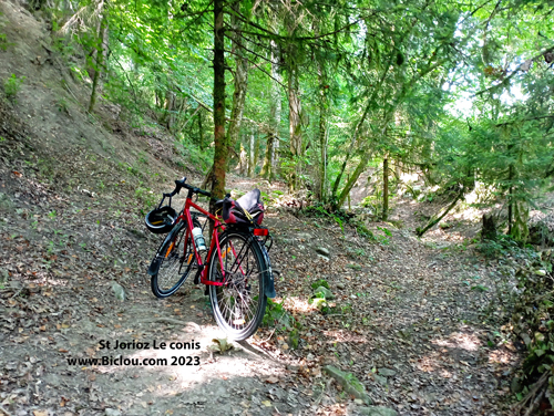 Renato-le-vélo-de-claudio-dans-les-bois-de-saint-jorioztitle=Renato-le-vélo-de-claudio-dans-les-bois-de-saint-jorioz