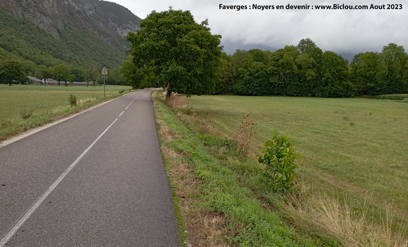 Faverges-pousses-de-noyers-long-de-voie-vertetitle=Faverges-pousses-de-noyers-long-de-voie-verte