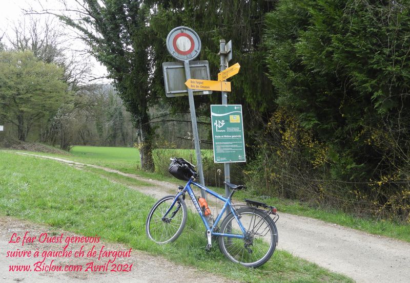 Arrivée bout de la route de vers vaux ; far ouest genevois, suivre la montée à gauche bois de Fargout