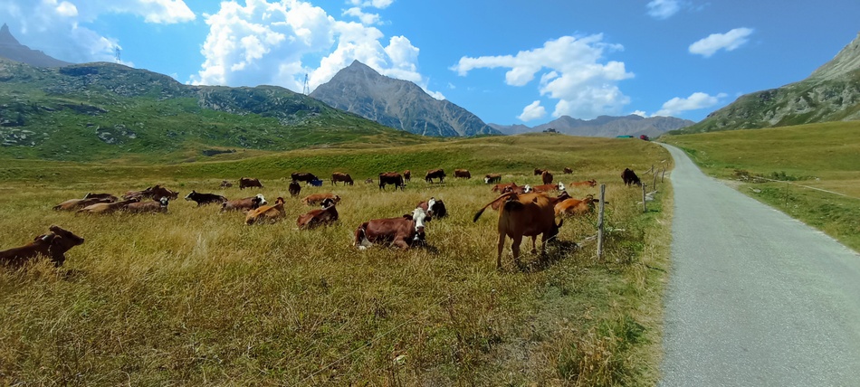 Belles Tarines en haute Maurienne